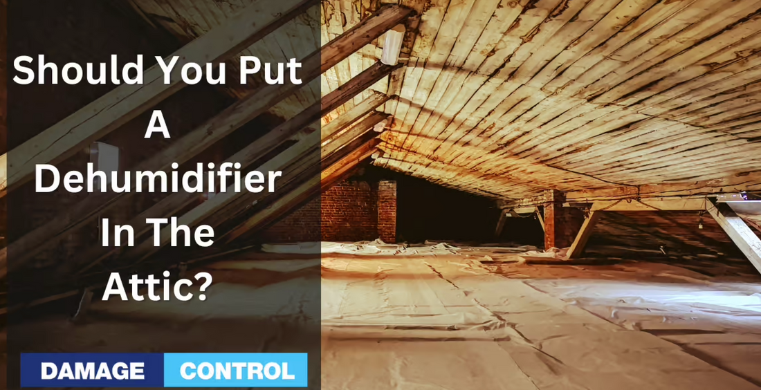 Protect Your Home from Mold with AirMaster Dehumidifiers