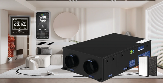 🛡️ Protect Your Attic, Basement, and Storage Spaces from Mold with AirMaster Dehumidifiers